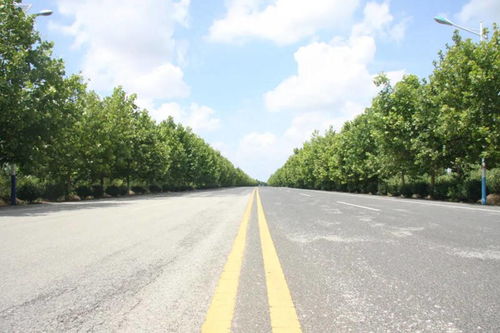 暢 安 舒 美 的農村公路 養 成記