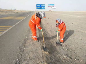 敦煌 旅游公路養護忙