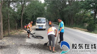 萊山公路 四舉措 加強夏季公路養護