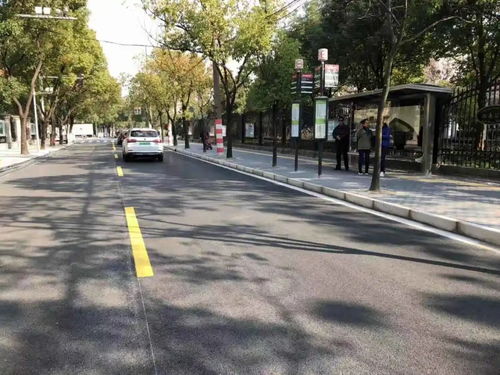 為民辦實事 寶山區7條道路變身精品示范路