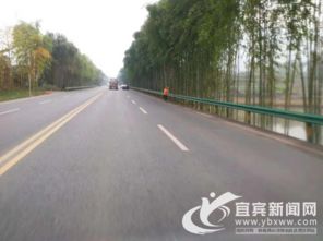 打造百里翠竹長廊 宜長路整治塌方十余處