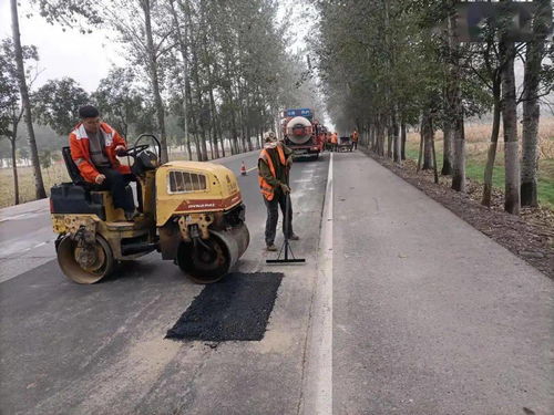 市公路站狠抓秋季公路養護保暢通